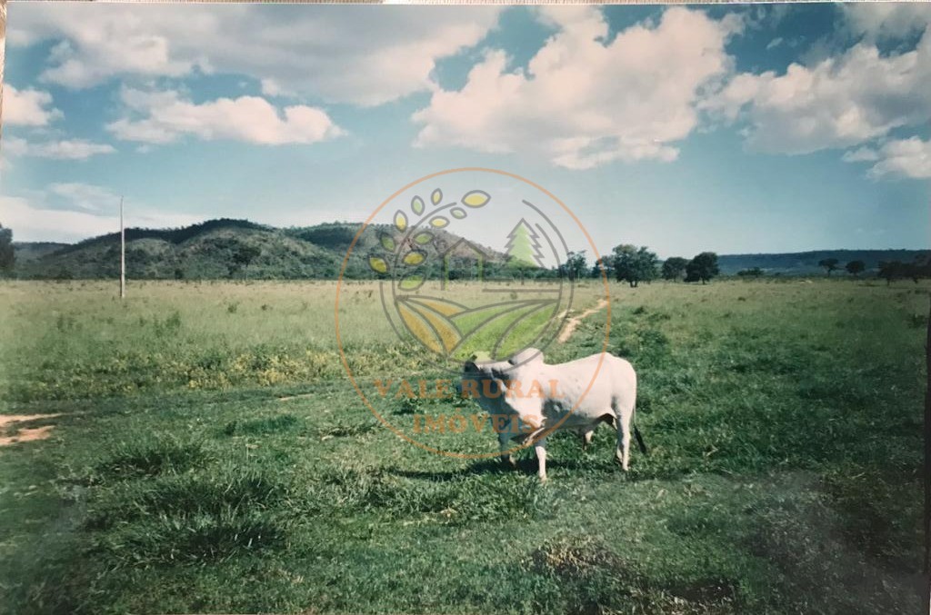 Fazenda - Foto 7
