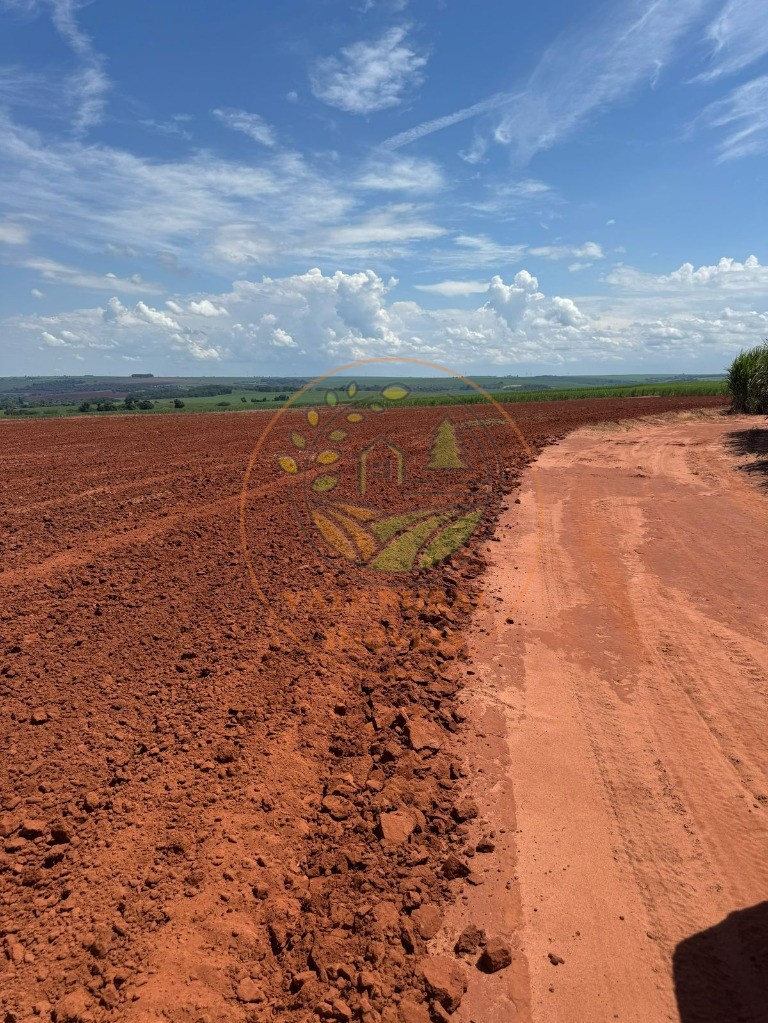 Fazenda - Foto 2
