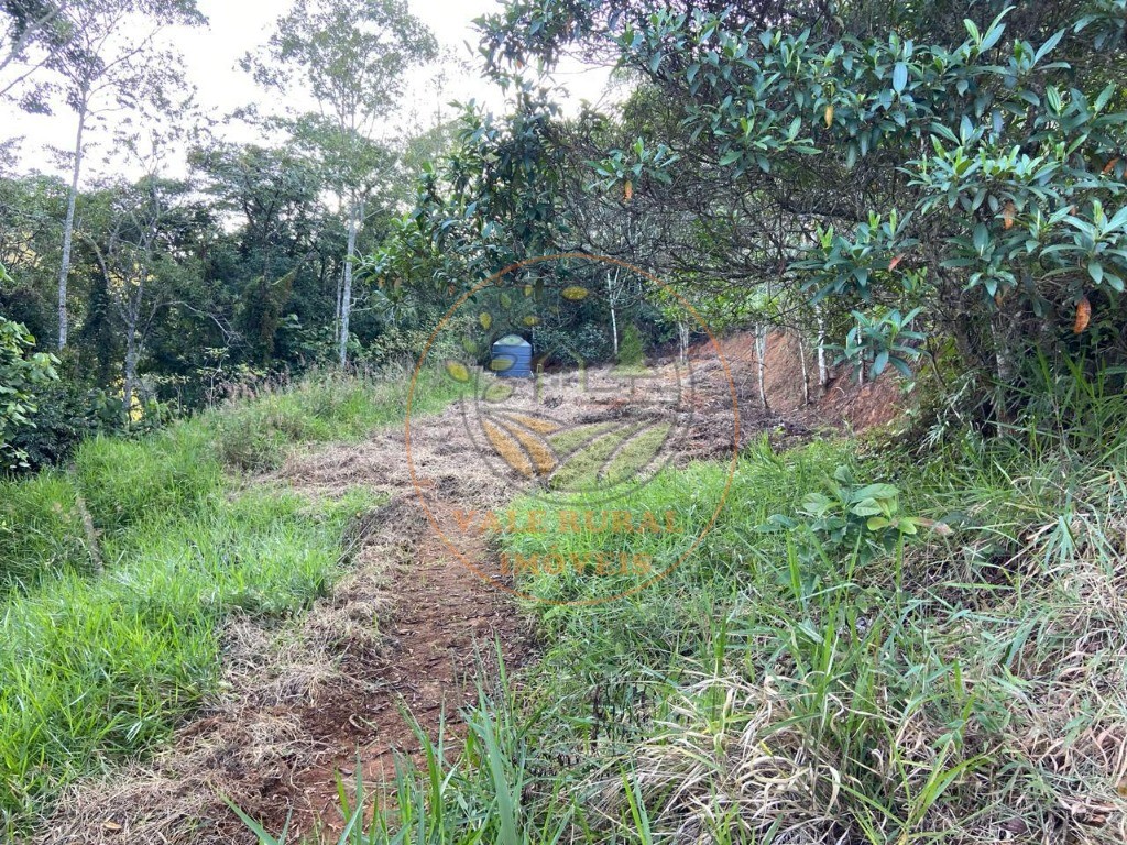 Chácara, 4 quartos - Foto 12