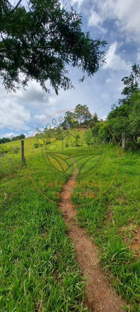 Fazenda - Foto 19