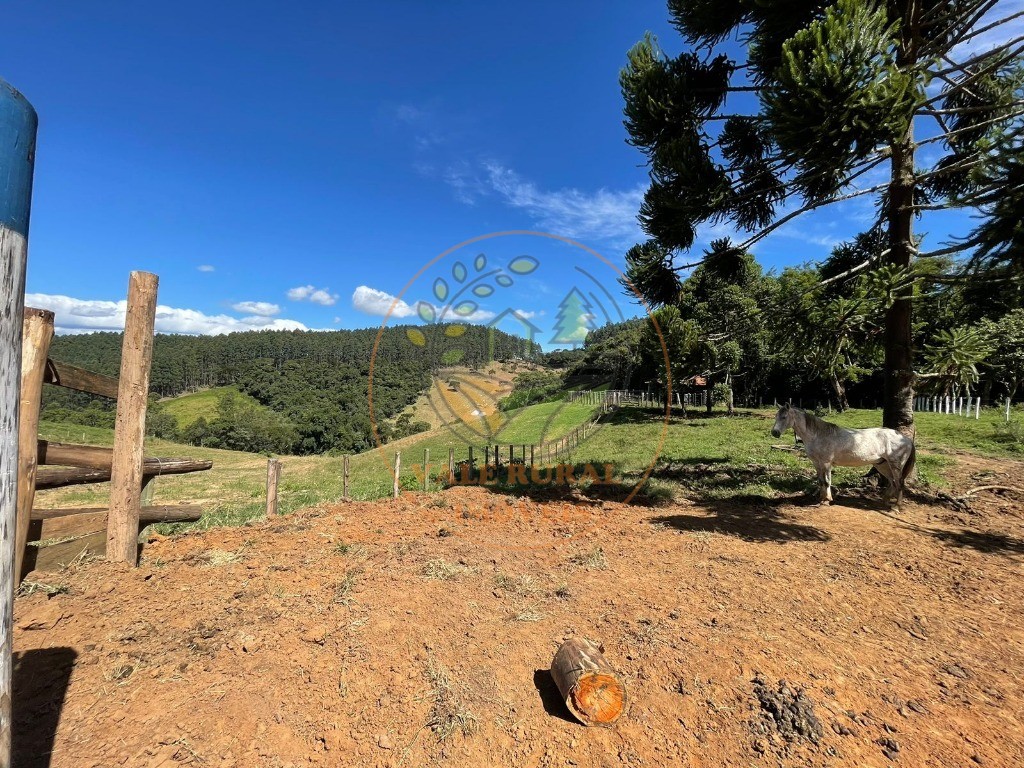 Fazenda, 156 m² - Foto 23