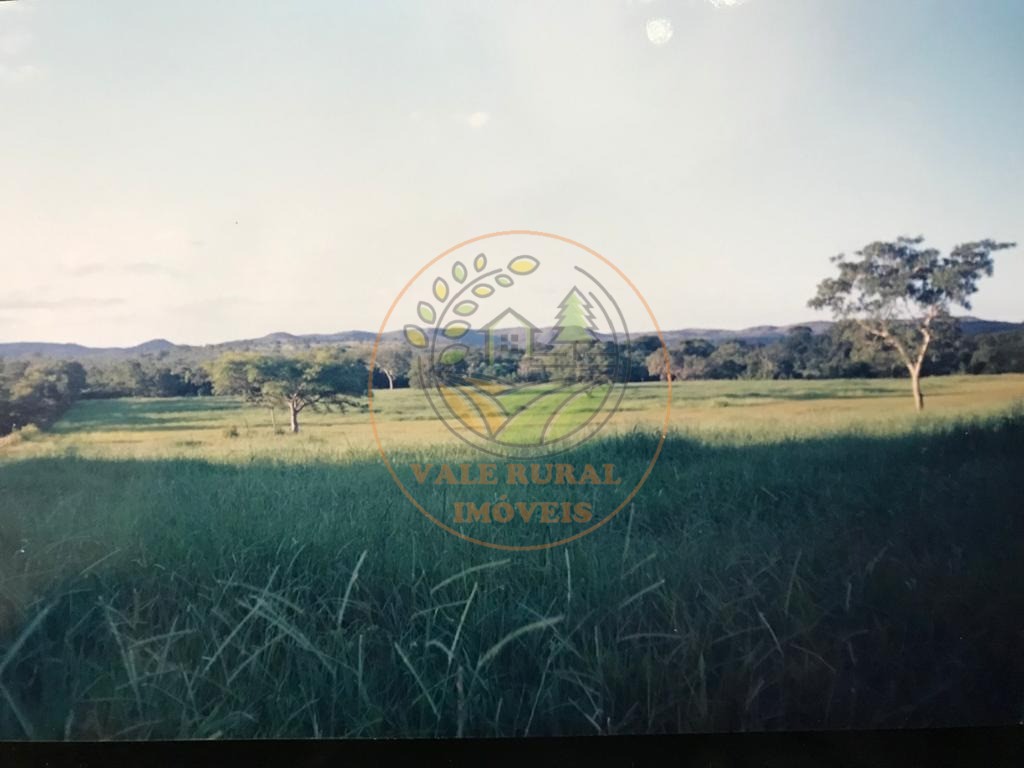 Fazenda - Foto 8