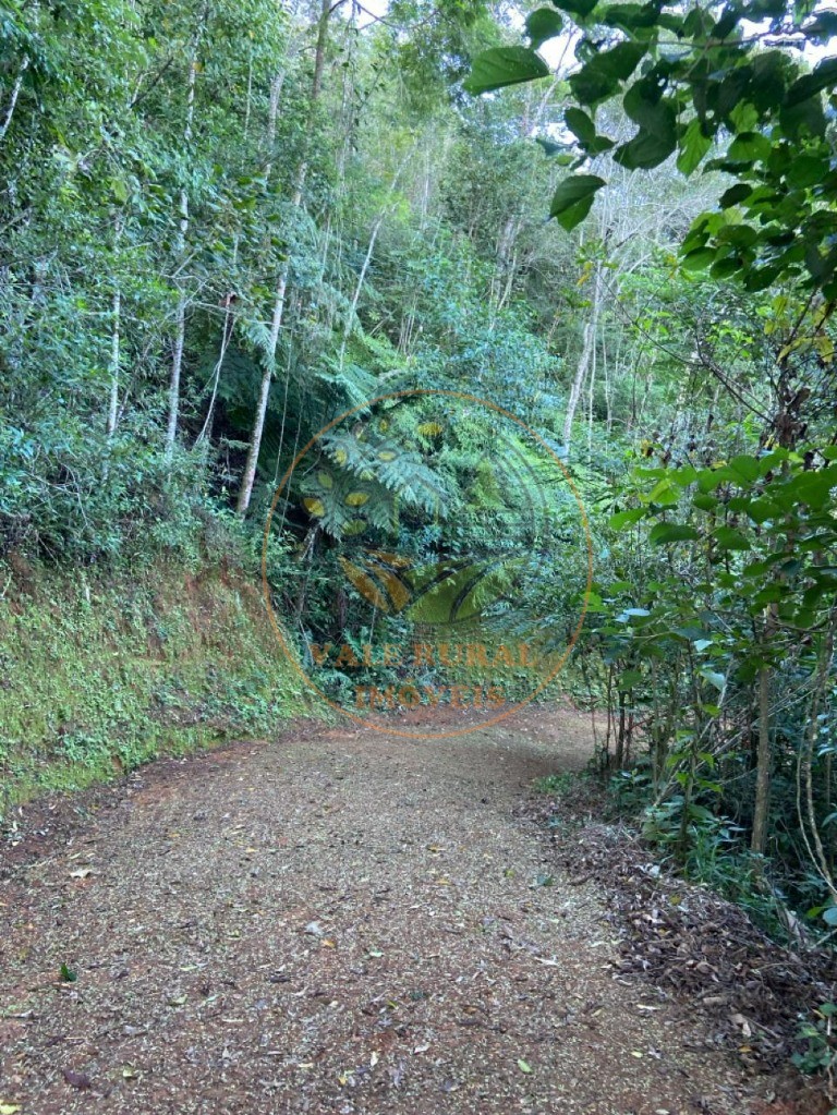 Chácara, 4 quartos - Foto 15