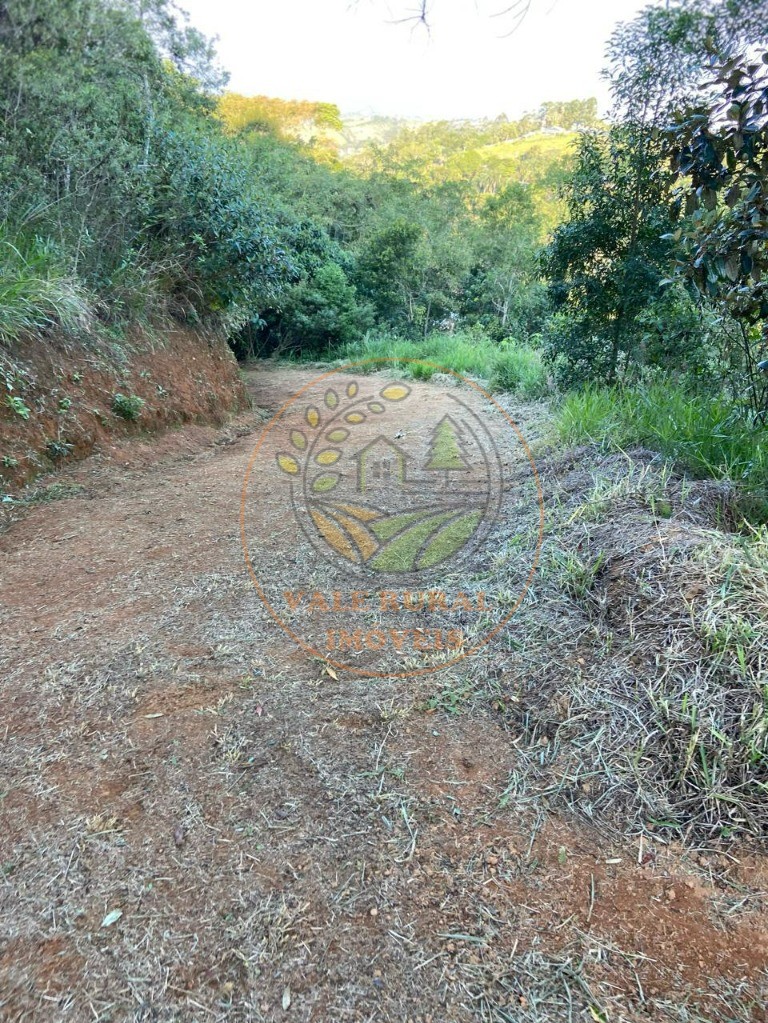 Chácara, 4 quartos - Foto 17
