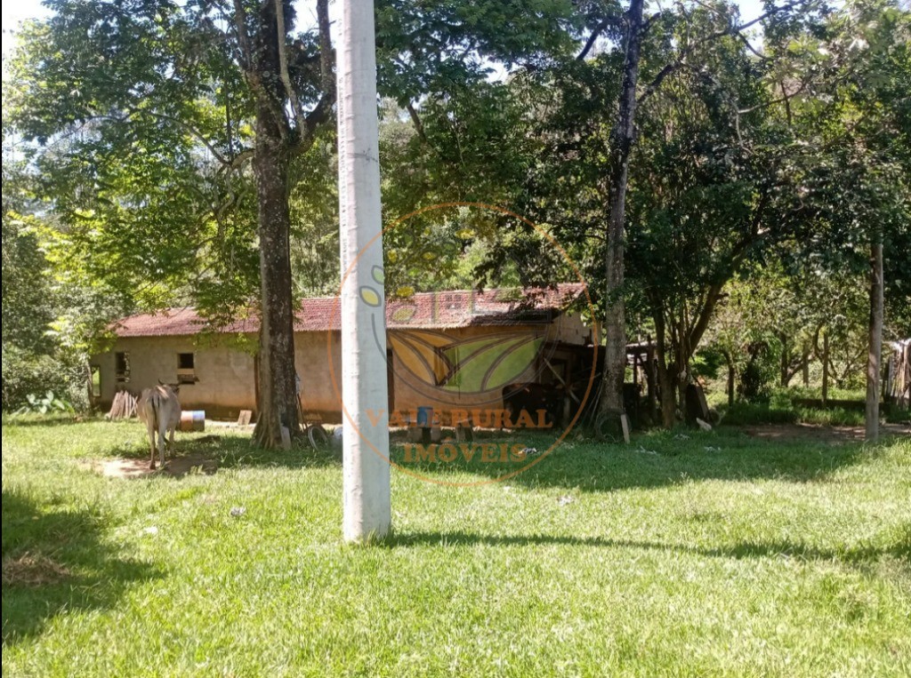 Fazenda, 2 quartos - Foto 5