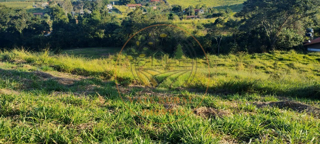 Fazenda - Foto 1