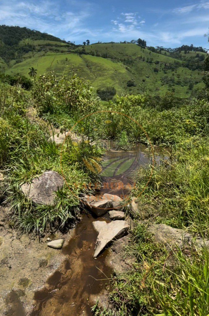 Fazenda - Foto 3