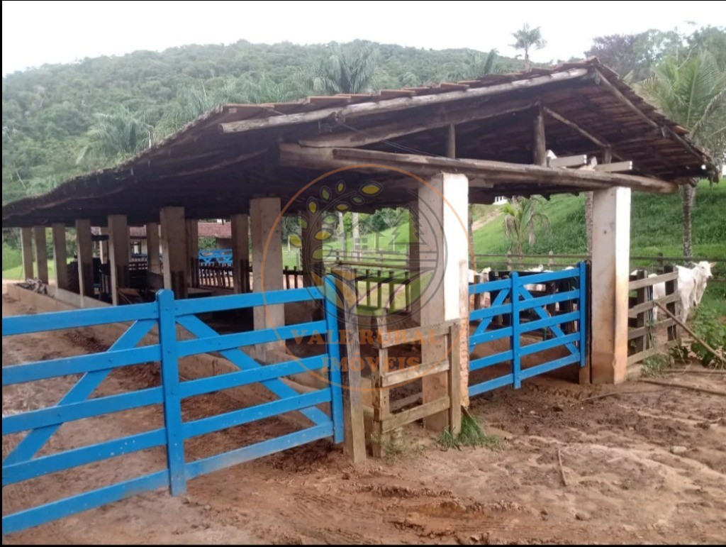 Fazenda, 3 quartos - Foto 6