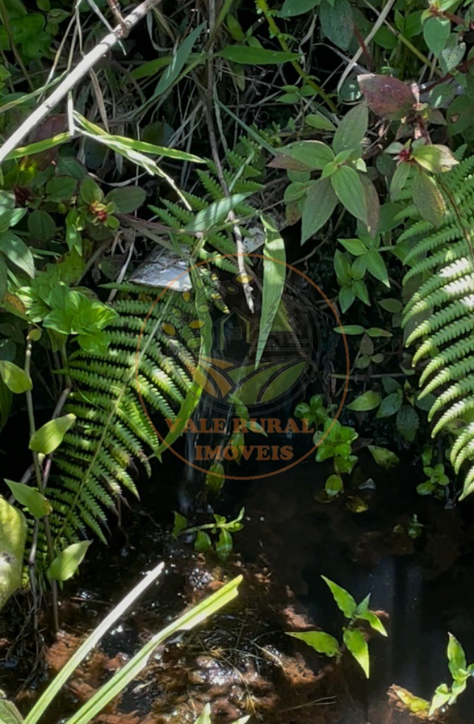 Fazenda - Foto 2