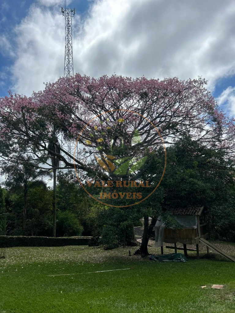 Chácara, 4 quartos - Foto 20