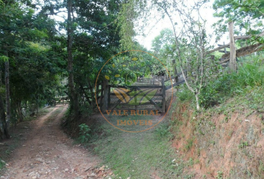 Sítio, 3 quartos - Foto 11