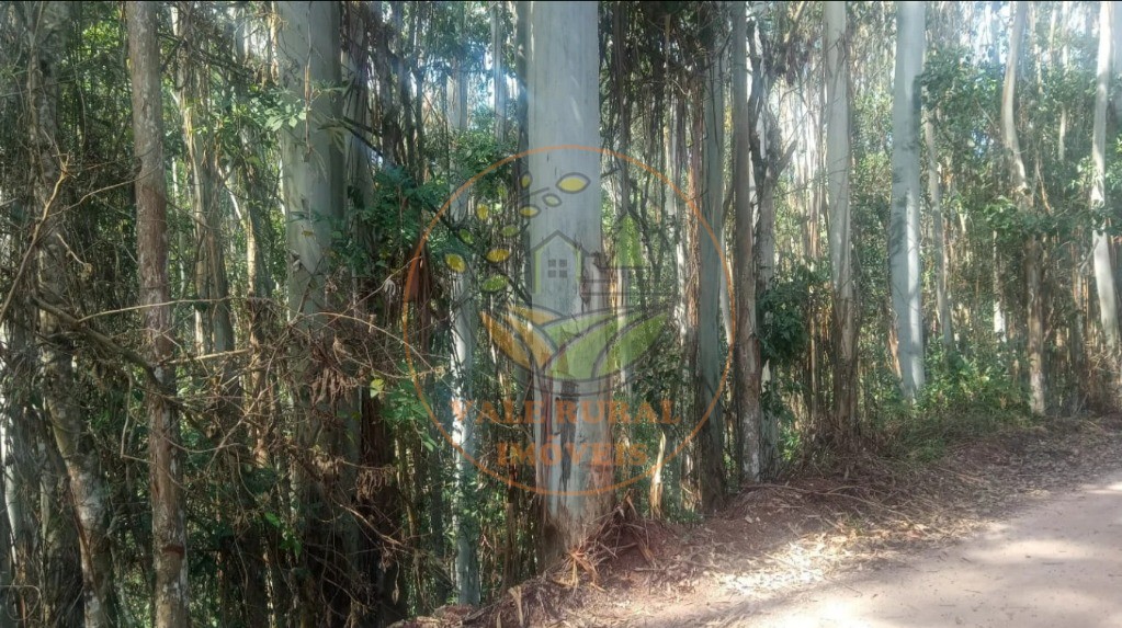 Fazenda, 2 quartos - Foto 28