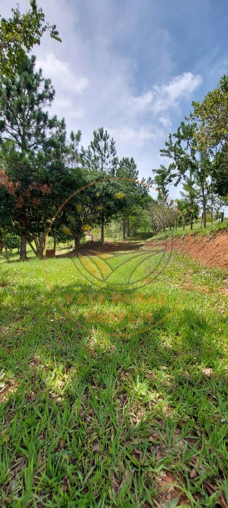 Fazenda - Foto 12