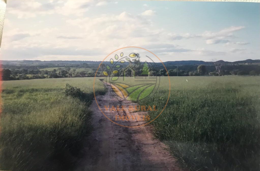 Fazenda - Foto 18