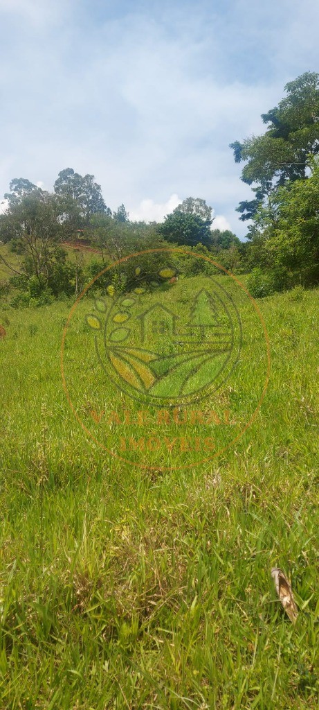 Fazenda - Foto 5