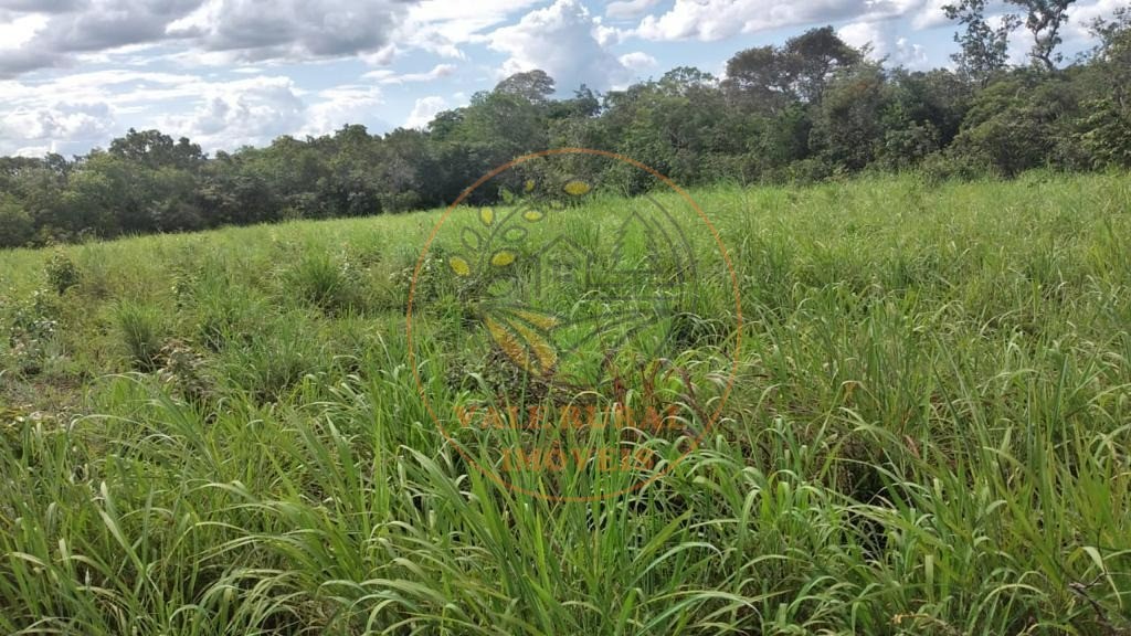 Fazenda - Foto 16
