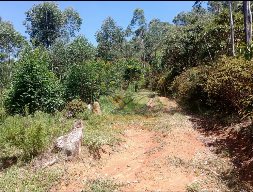 Fazenda, 2 quartos - Foto 17