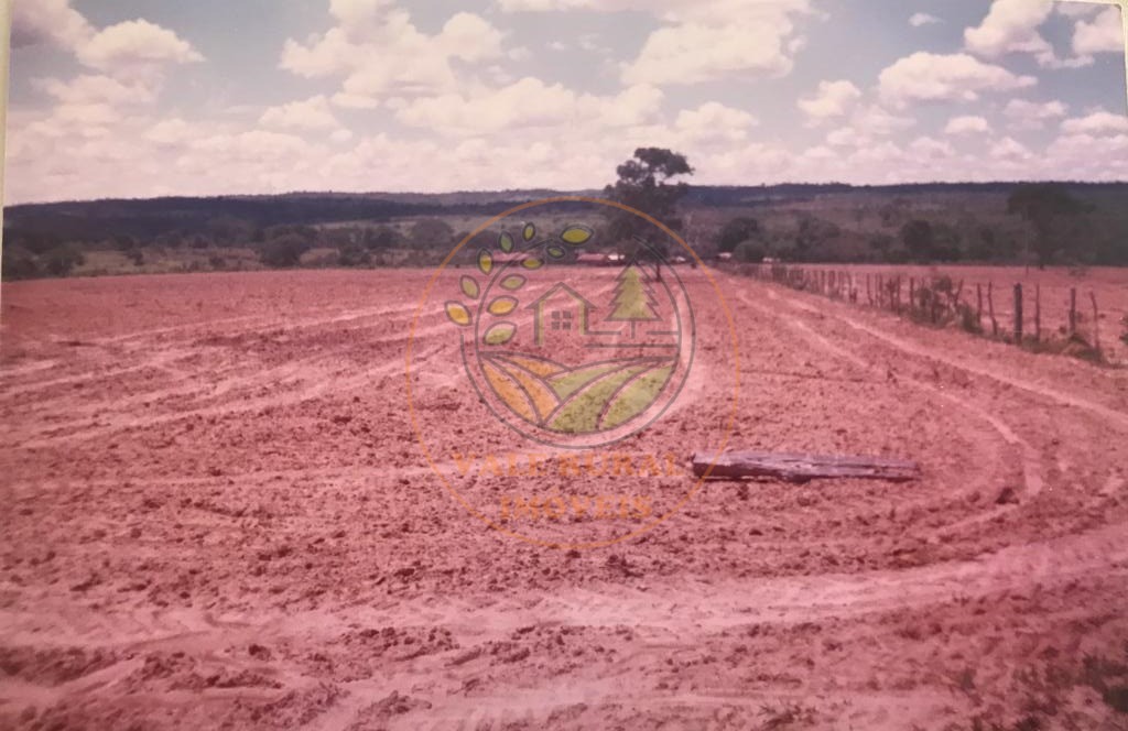 Fazenda - Foto 3