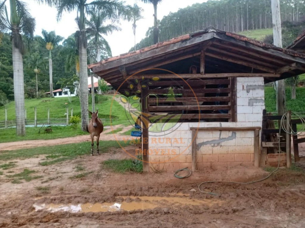 Fazenda, 3 quartos - Foto 10