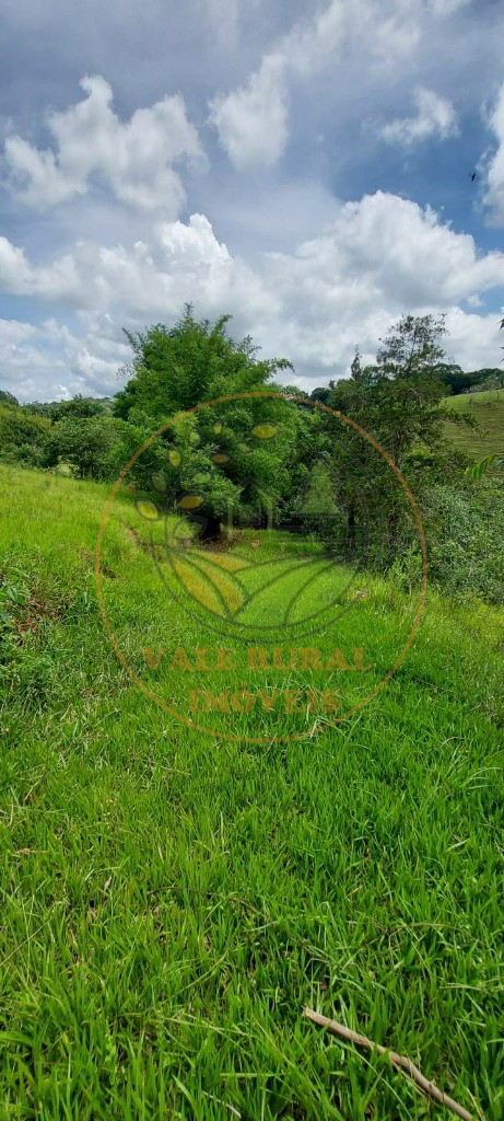 Fazenda - Foto 6