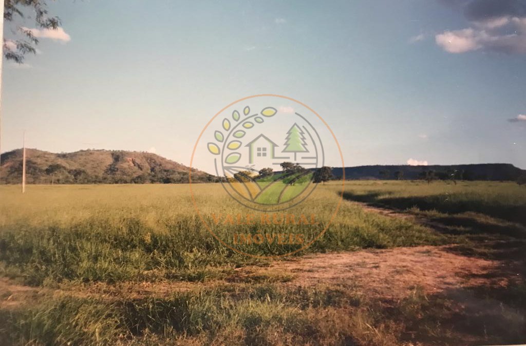 Fazenda - Foto 11