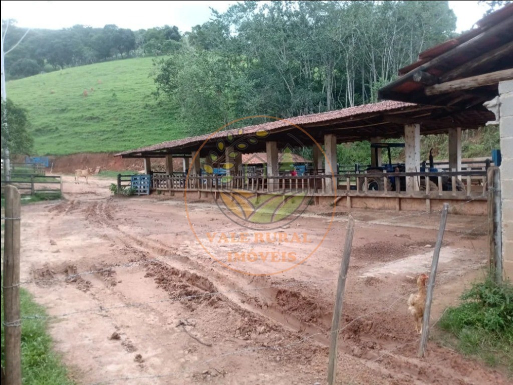 Fazenda, 3 quartos - Foto 7
