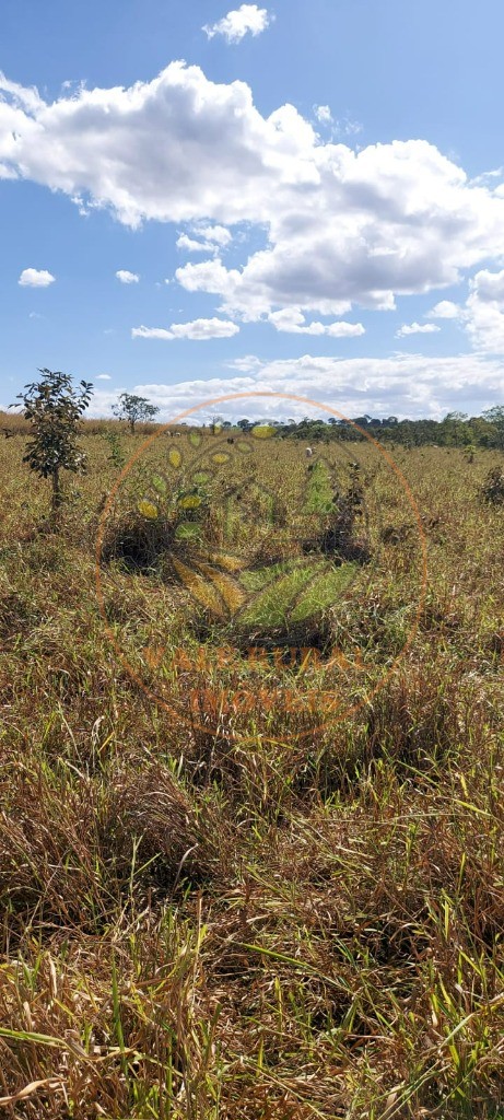 Fazenda - Foto 4