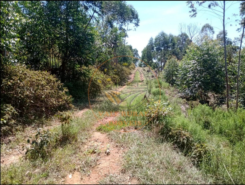 Fazenda, 2 quartos - Foto 19