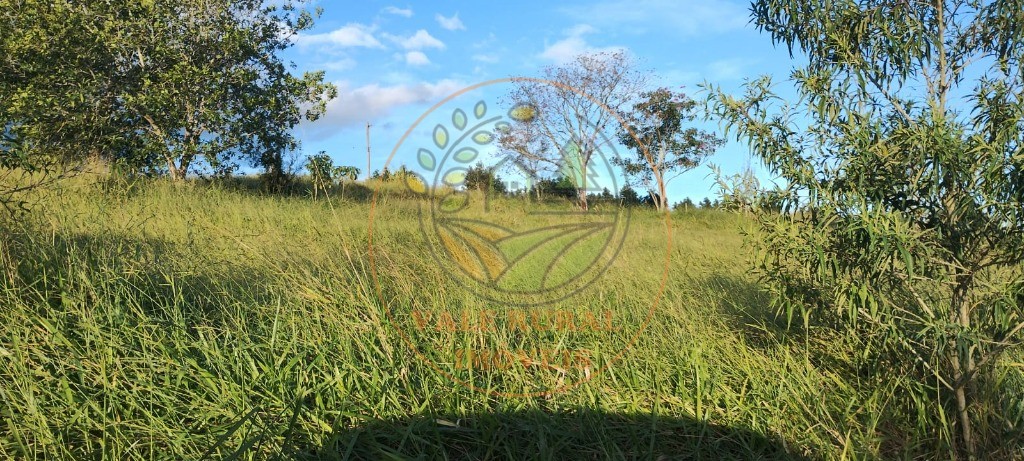Fazenda - Foto 3