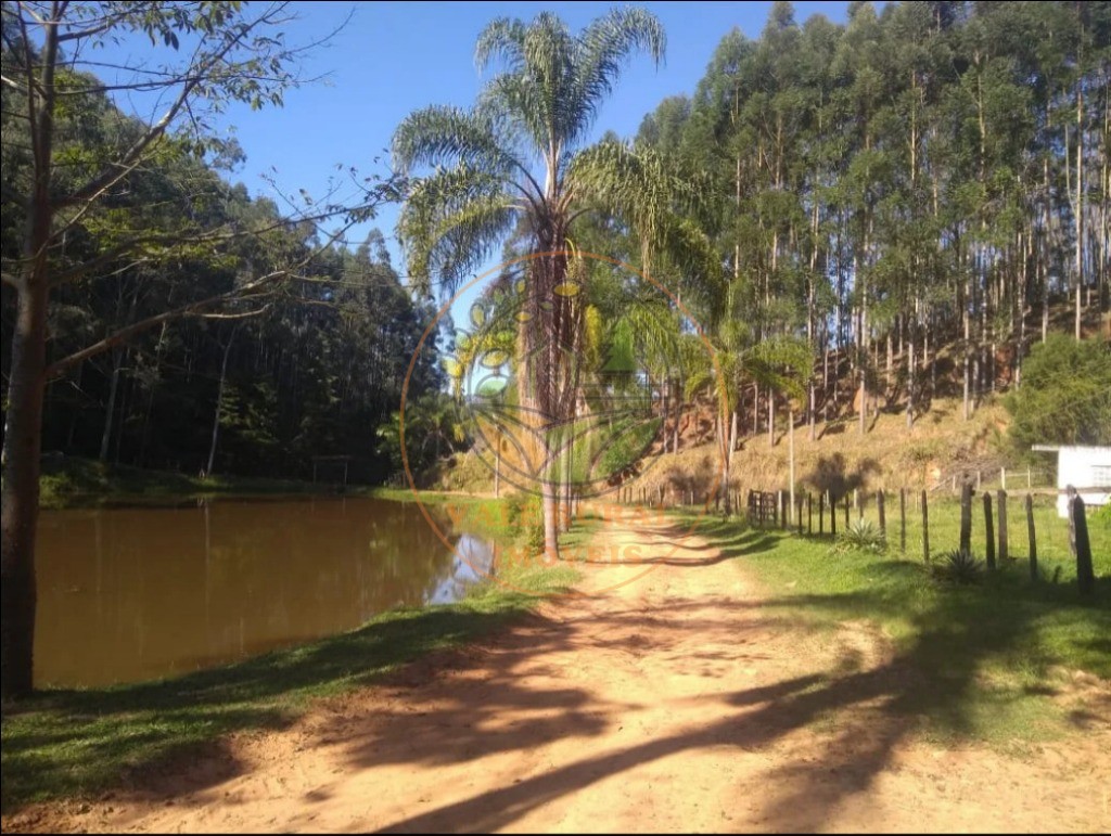 Fazenda - Foto 3