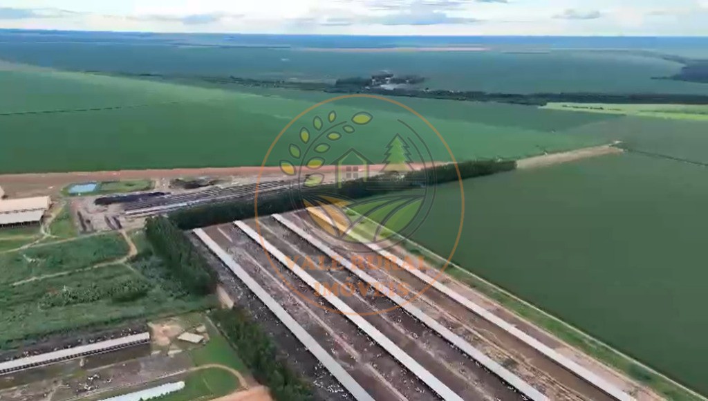 Fazenda - Foto 5