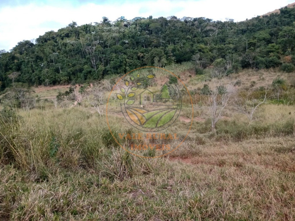 Fazenda - Foto 11