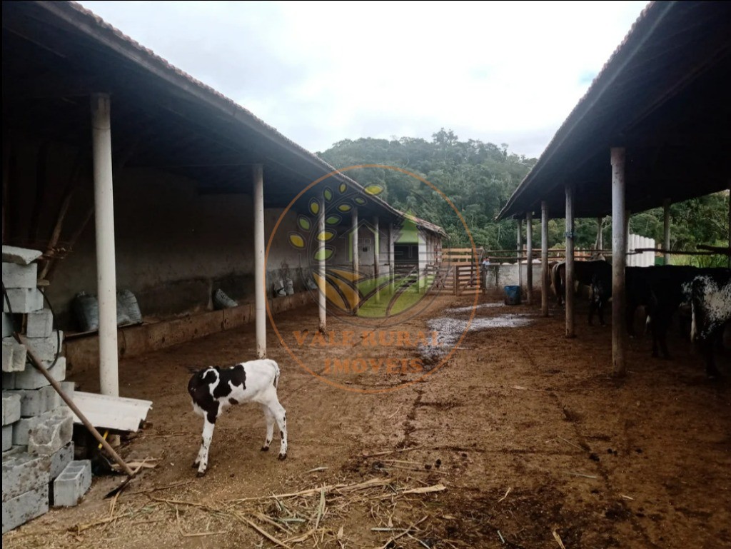 Fazenda - Foto 3