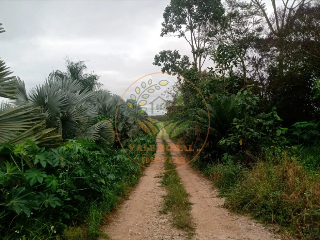 Fazenda - Foto 13