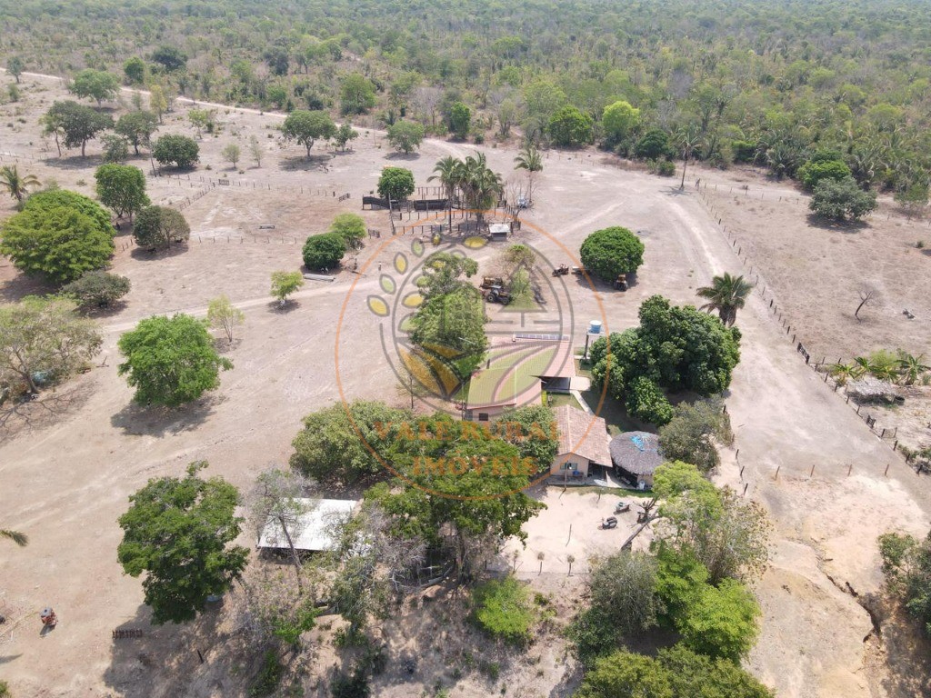 Fazenda - Foto 14
