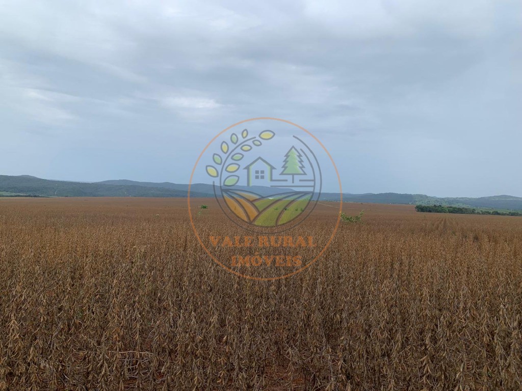 Fazenda - Foto 4