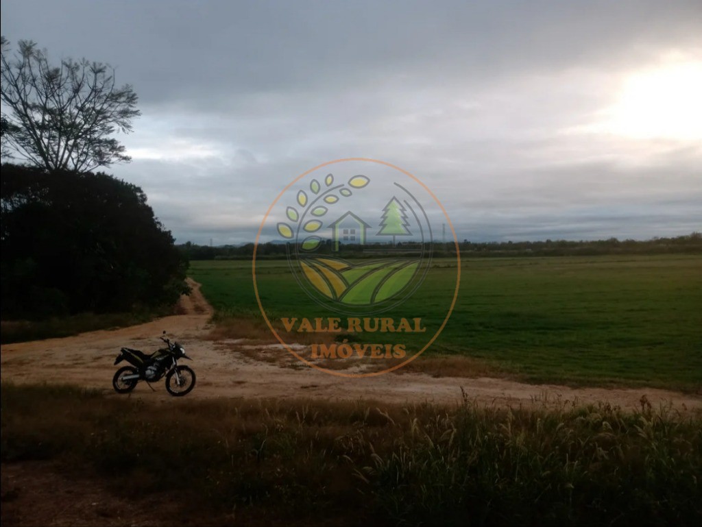 Fazenda - Foto 15