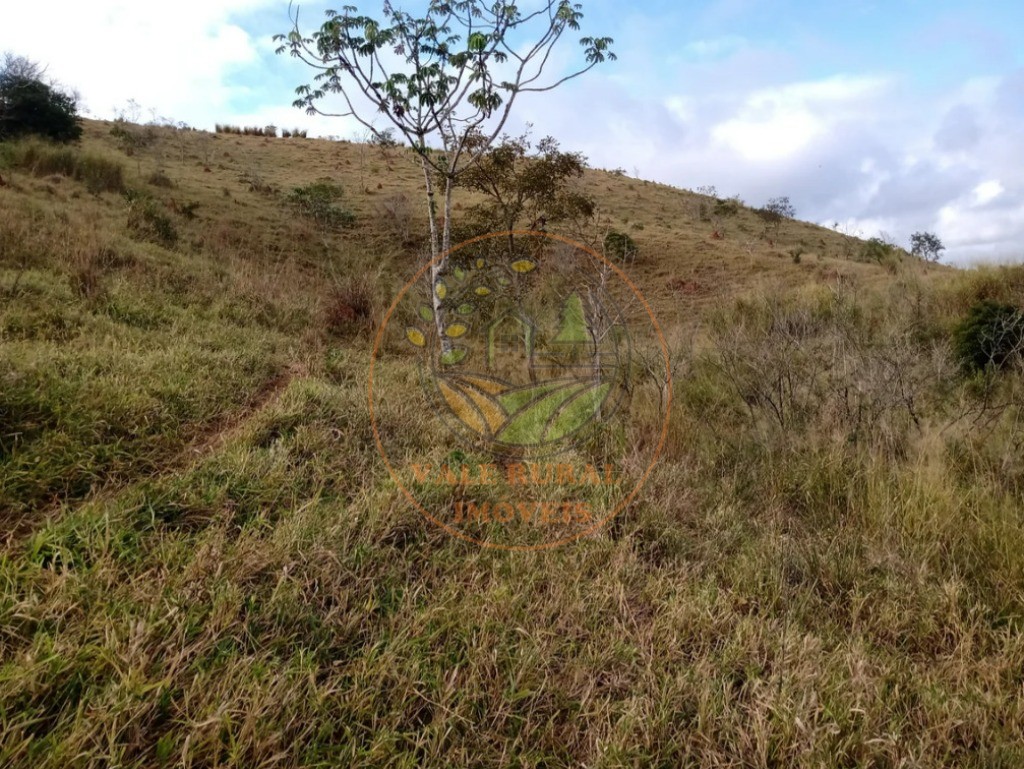 Fazenda - Foto 9