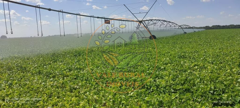 Fazenda - Foto 30