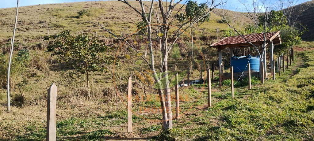 Sítio, 3 quartos - Foto 42
