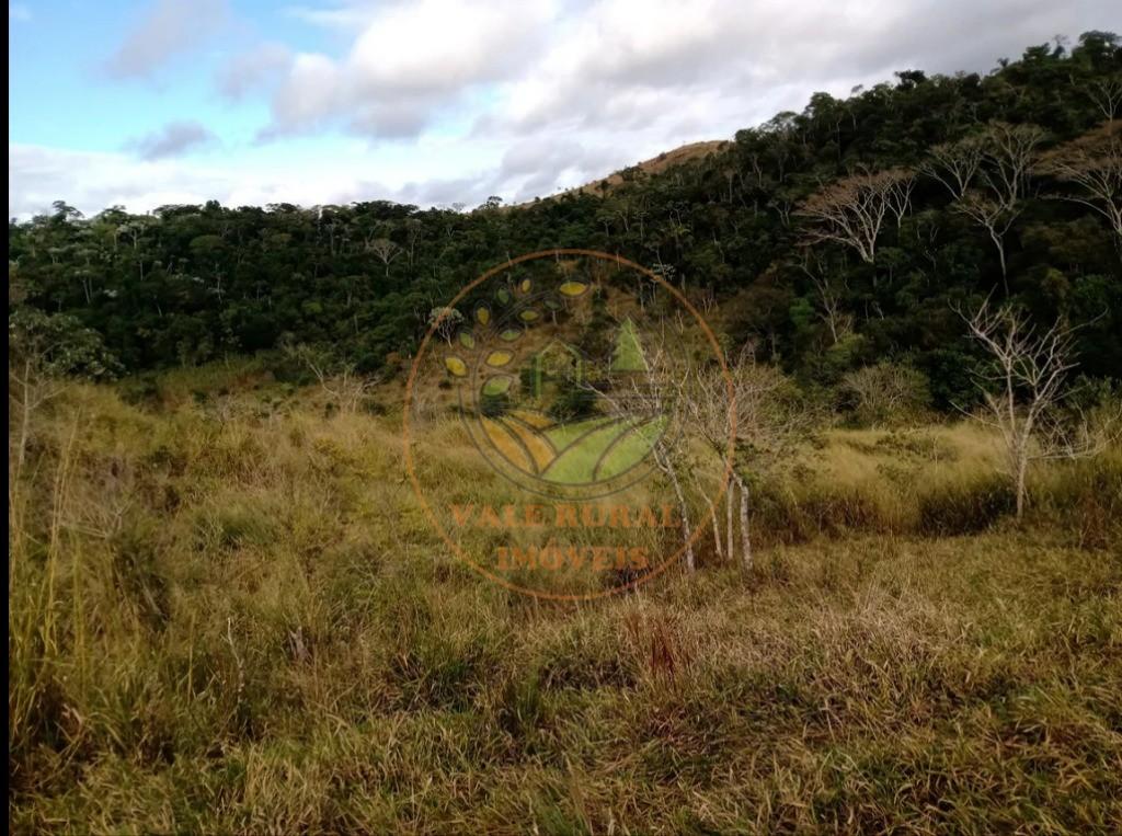 Fazenda - Foto 10