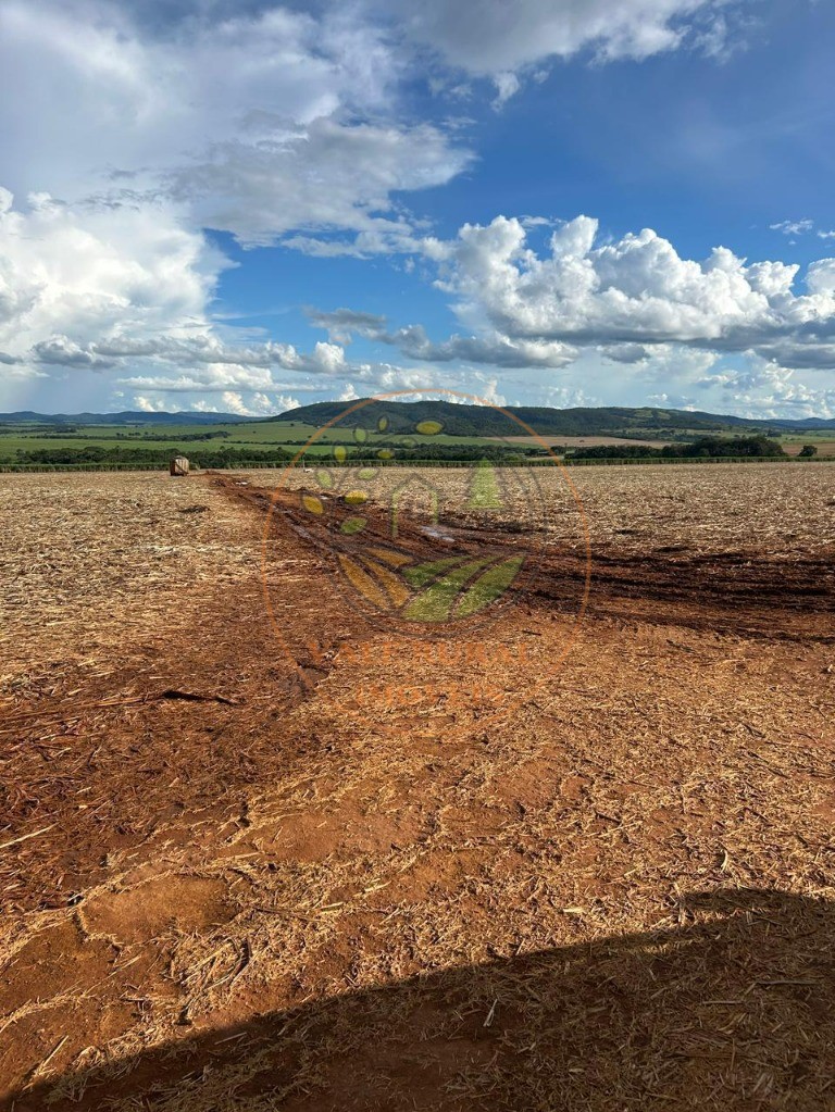 Fazenda - Foto 5