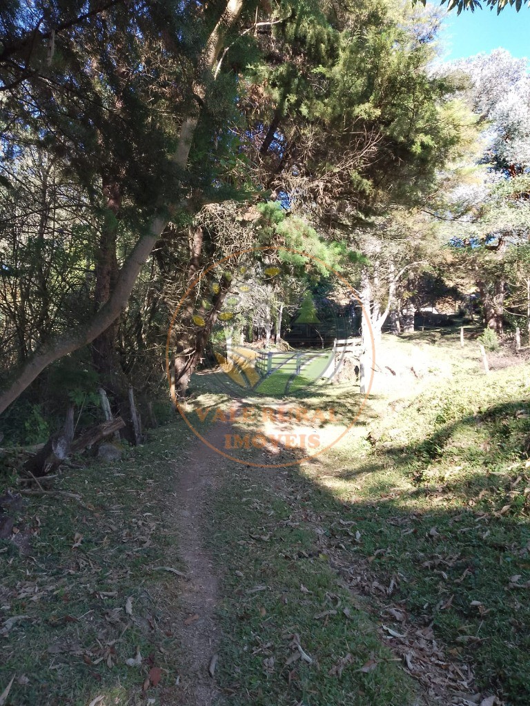 Sítio, 1 quarto, 12 m² - Foto 5