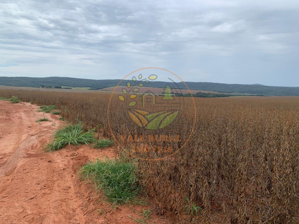 Fazenda - Foto 5