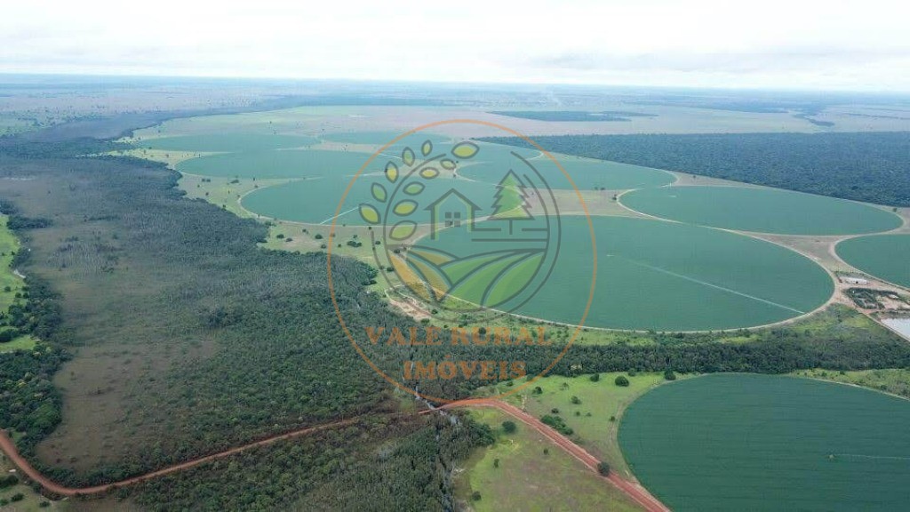 Fazenda - Foto 1