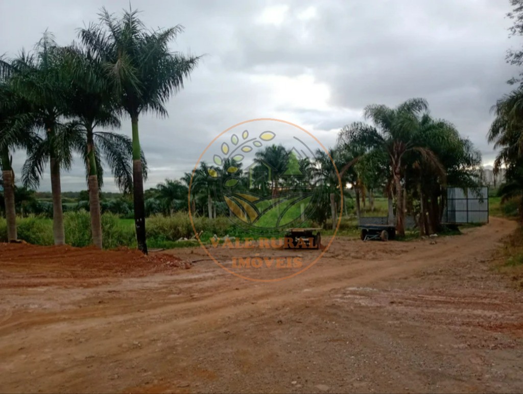 Fazenda - Foto 11
