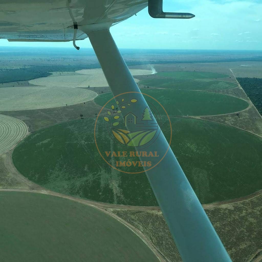 Fazenda - Foto 8