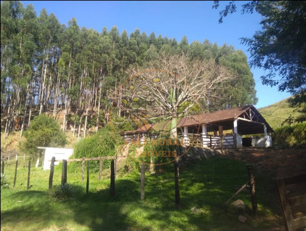 Fazenda - Foto 7