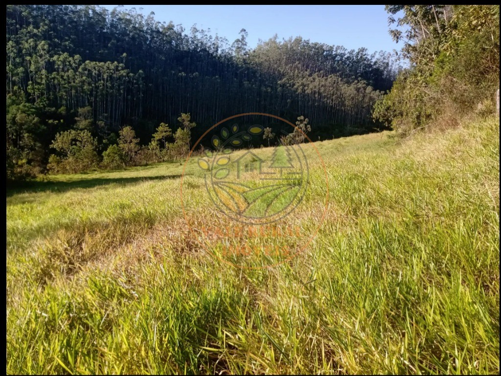 Fazenda, 3 quartos - Foto 16