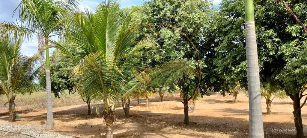 Fazenda - Foto 4
